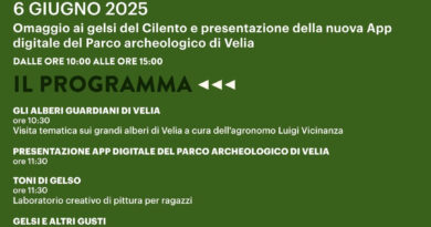 Ascea Marina (SA), 6 giugno 2025: archeologia, app digitali e gelsi nel parco archeologico di Velia