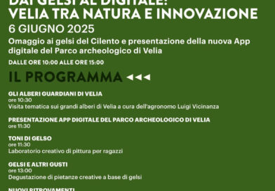 Ascea Marina (SA), 6 giugno 2025: archeologia, app digitali e gelsi nel parco archeologico di Velia