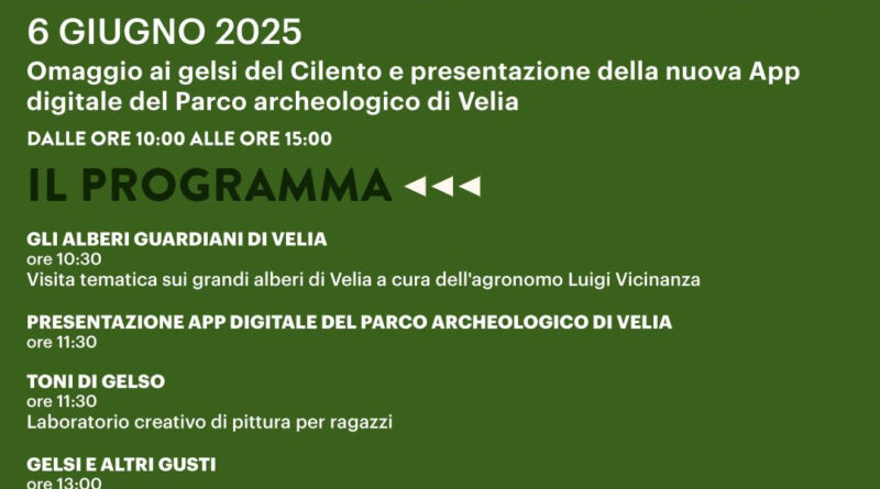 Ascea Marina (SA), 6 giugno 2025: archeologia, app digitali e gelsi nel parco archeologico di Velia